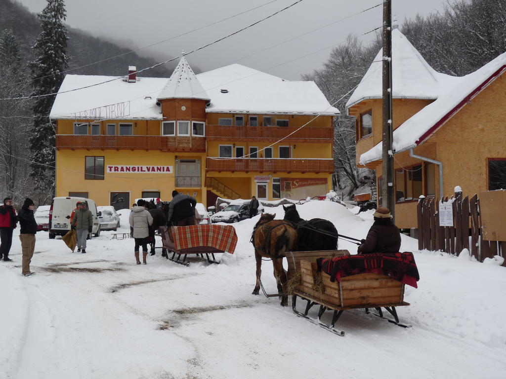 Vila Transilvania Балваниос Экстерьер фото